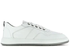 Best Eleven Sneakers Jogo