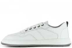 Best Eleven Sneakers Jogo